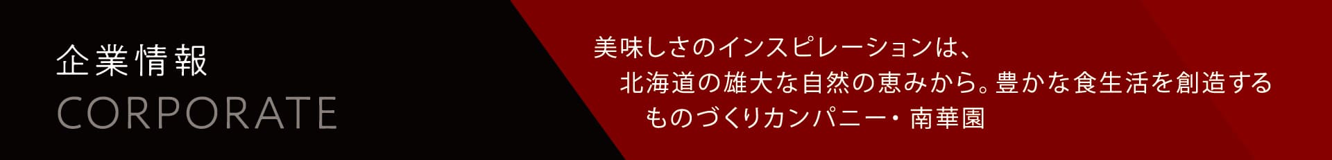 企業情報